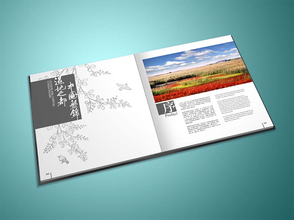 房地产宣传画册